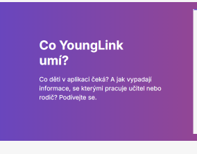 younglink.png